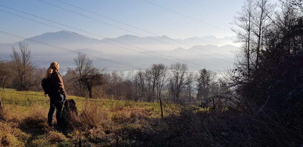 Haus Seidendorf Daire Sankt Kanzian am Klopeiner See Dış mekan fotoğraf