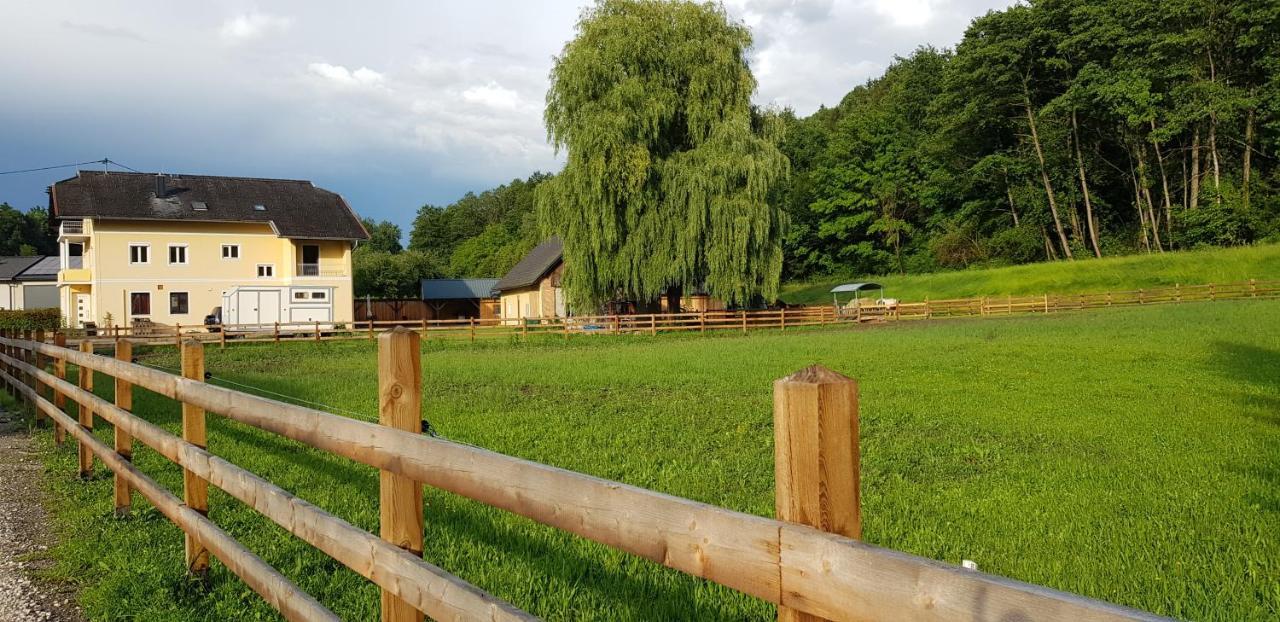 Haus Seidendorf Daire Sankt Kanzian am Klopeiner See Dış mekan fotoğraf
